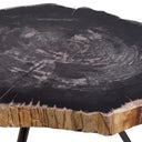 Petrified Coffee Table (3) De Soto