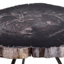 Petrified Coffee Table (3) De Soto