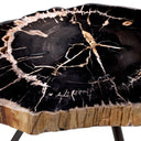 Petrified Coffee Table (3) De Soto