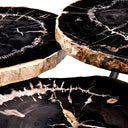 Petrified Coffee Table (3) De Soto