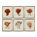 Silver Frame Prints (6) Red Corals