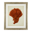 Silver Frame Prints (6) Red Corals