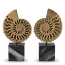 Vintage Object Set (2) Ammonite