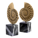 Vintage Object Set (2) Ammonite