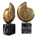 Vintage Object Set (2) Ammonite