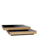 Brass Rim Coffee Table Shelton
