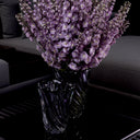 Swirling Glass Vase L Contessa