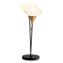 Elliptical Glass Table Lamp Duco