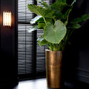 Vintage Brass Planter Maddox