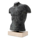 Bronze Finish Torso Aristo