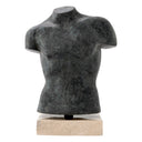 Bronze Finish Torso Aristo