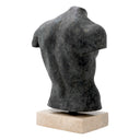 Bronze Finish Torso Aristo