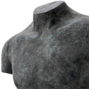 Bronze Finish Torso Aristo