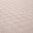 Beige Outdoor Carpet 10' x 13' Linara