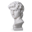 White Marble Head David