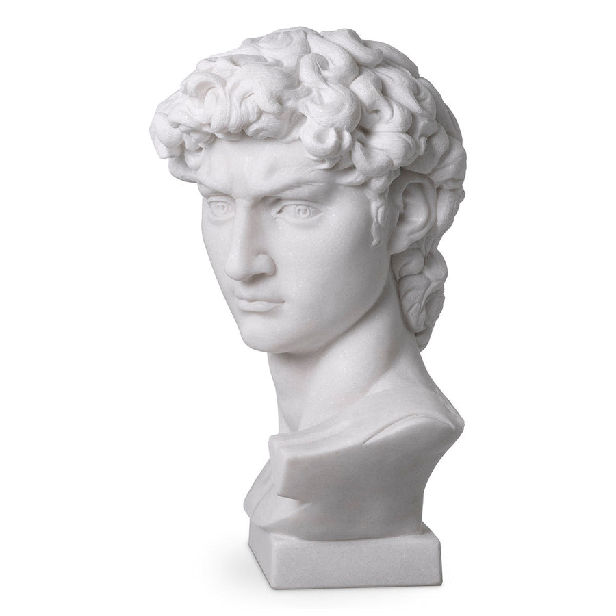 White Marble Head David