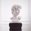 White Marble Head David