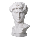 White Marble Head David