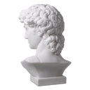 White Marble Head David