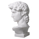 White Marble Head David