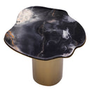 Free-Form Side Table Shapiro