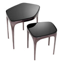 Glass Side Tables (2) Deacon