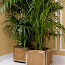 Rattan Cane Planter Tropea