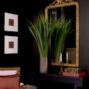 Antique Gold Mahogany Mirror Ludovico
