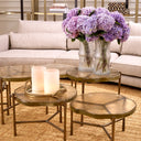 Frosted Glass Coffee Table (3) Baldovini