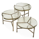 Frosted Glass Coffee Table (3) Baldovini