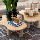 Organic-Shaped Coffee Table Isernia