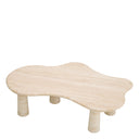 Organic-Shaped Coffee Table Isernia