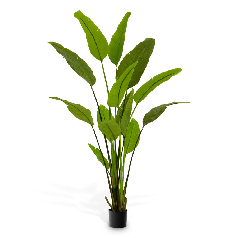 Green Artificial Plant Strelitzia