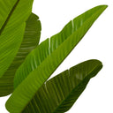 Green Artificial Plant Strelitzia