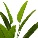 Green Artificial Plant Strelitzia