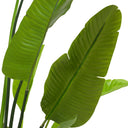 Green Artificial Plant Strelitzia