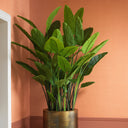 Green Artificial Plant Strelitzia