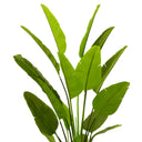 Green Artificial Plant Strelitzia