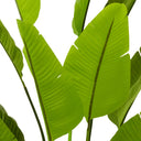 Green Artificial Plant Strelitzia