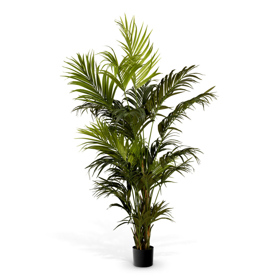Green Artificial Plant Kentia Palm