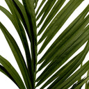 Green Artificial Plant Kentia Palm