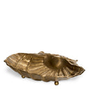 Gold Bowl Seashell