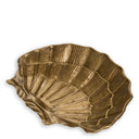 Gold Bowl Seashell