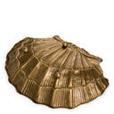 Gold Bowl Seashell