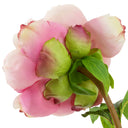 Artificial Floral Bouquet (48pcs) Peonies