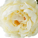 Artificial Floral Bouquet (48pcs) Peonies