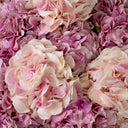 Bouquet of Artificial Flowers (48pcs) Hydrangeas