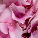 Bouquet of Artificial Flowers (48pcs) Hydrangeas