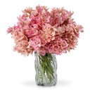 Pink Orchids Bouquet (36) Cymbidium