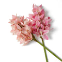 Pink Orchids Bouquet (36) Cymbidium